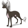 Brown Chinese Crested Sticker