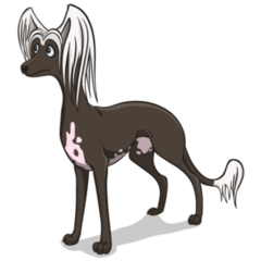 Brown Chinese Crested Sticker