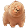 Brown Chow Chow Sticker