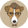 Brown Curious Russel Terrier Sticker 