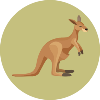 Brown Cute Kangaroo With Green Background Sticker
