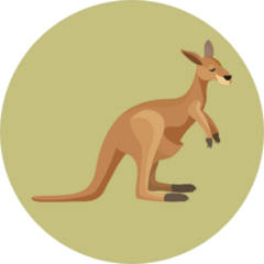 Brown Cute Kangaroo With Green Background Sticker
