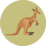 Brown Cute Kangaroo With Green Background Sticker