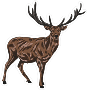 Brown Deer Illustration Sticker