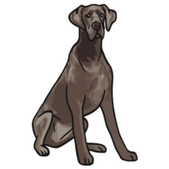 Brown Great Dane Sticker