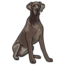 Brown Great Dane Sticker