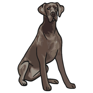 Brown Great Dane Sticker