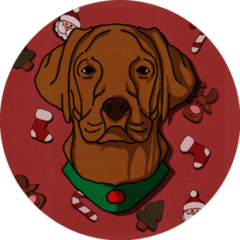 Brown Lab During Christmas Sticker