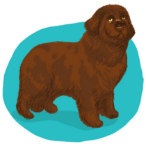 Brown Newfoundland Sticker