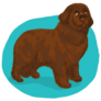 Brown Newfoundland Sticker