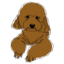 Brown Poodle Smirk Sticker