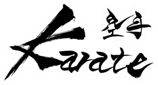 Brush Character Karate And Japanese Text Sticker