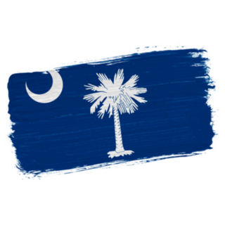 Brush Painted Flag State Of South Carolina Sticker