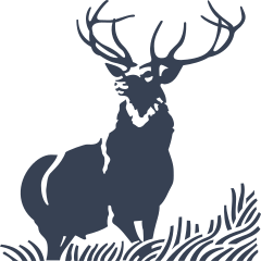 Buck In Tall Grass Sticker