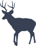 Buck Walking Sticker