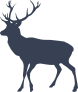 Buck With Large Antlers Sticker