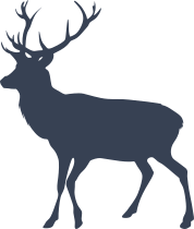 Buck With Large Antlers Sticker