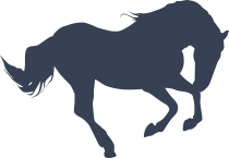 Bucking Bronco Horse Sticker