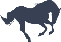 Bucking Bronco Horse Sticker