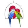 Budgie Birds In Love Sticker