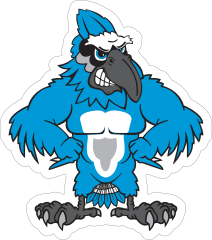 Buff Blue Jay Mascot Sticker
