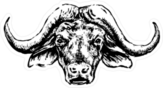 Buffalo Head Black Illustration Sticker
