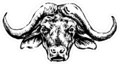 Buffalo Head Black Illustration Sticker