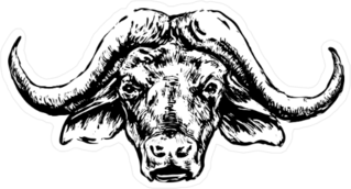 Buffalo Head Black Illustration Sticker