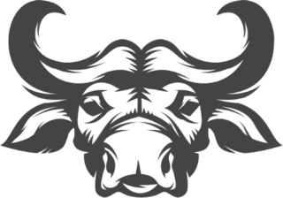 Buffalo Head Illustration Sticker