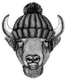 Buffalo in Beanie Sticker