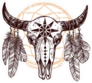 Buffalo Skull With Feathers And Dreamcatcher Sticker