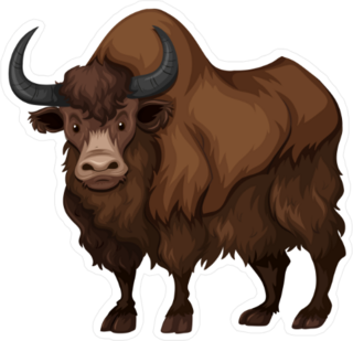 Buffalo With Brown Fur Sticker