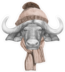 Buffalo With Hat And Scarf Sticker