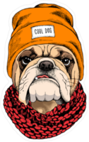 Bulldog in Beanie and Scarf Sticker