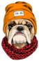 Bulldog in Beanie and Scarf Sticker