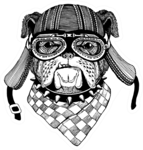 Bulldog Wild Biker Animal Wearing Motorcycle Helmet Sticker