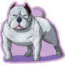 Bully Pit Bull Purple Sticker