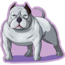 Bully Pit Bull Purple Sticker
