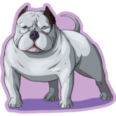 Bully Pit Bull Purple Sticker