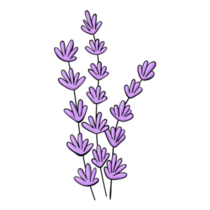 Bunch Of Lavender Sticker