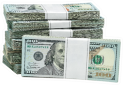 Bundles of 100 Dollar Bills Sticker