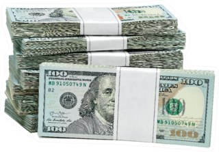 Bundles of 100 Dollar Bills Sticker