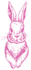 Bunny Cute Rabbit Animal Ink Pink Sticker