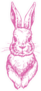 Bunny Cute Rabbit Animal Ink Pink Sticker