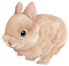 Bunny Watercolor Painting Sticker