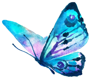 Butterflies Design