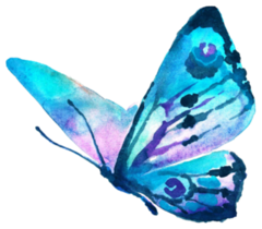 Butterflies Design