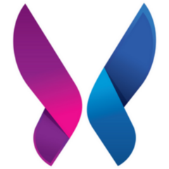 Butterfly Colorful Logo Template With Shadow On Wings