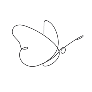 Butterfly Line Drawing