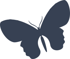 Butterfly With Large Rounded Upper Wings Sticker